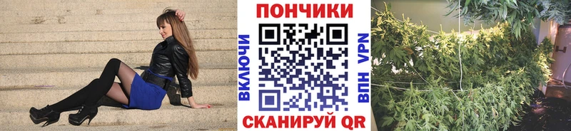 где можно купить наркотик  Елизово  blacksprut ССЫЛКА  Бошки Шишки THC 21% 
